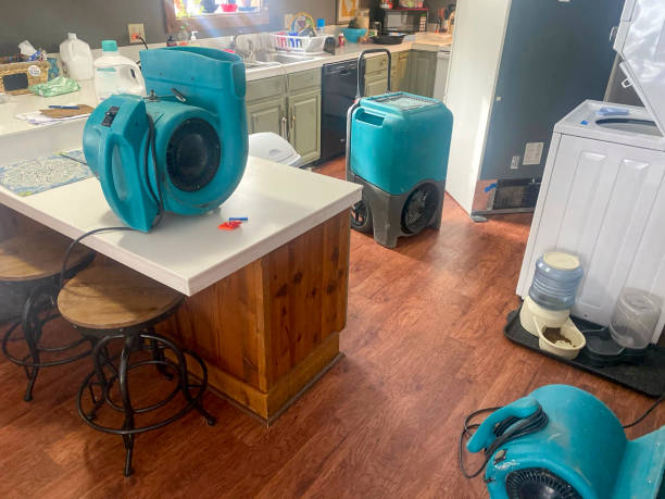 Best 24/7 water damage repair  in Jurupa Valley, CA