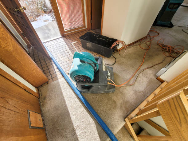 Best Water damage mitigation services  in Jurupa Valley, CA