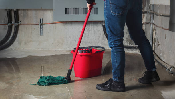 Water damage restoration mold remediation in Jurupa Valley, CA