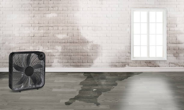 Best Flooded house restoration  in Jurupa Valley, CA
