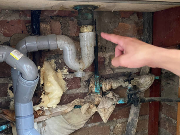 Best Water damage cleanup near me  in Jurupa Valley, CA